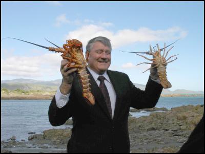 Fisheries Minister
Jim Anderton with Lobsters