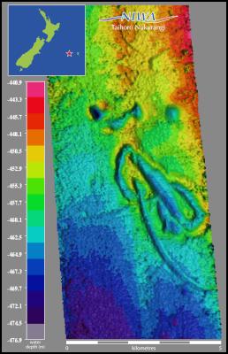 Iceberg scours show
up on a bathymetric (water depth) map of the Chatham Rise.
(Image courtesy of NIWA).