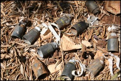Cluster bombs found
in an olive grove in Southern Lebanon. CREDIT: Simon Conway/
Landmine Action