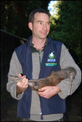 DOC ranger Darren
Page with Whiratea before she was released to Pukaha
Forest.