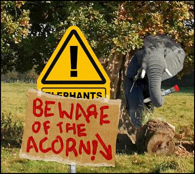 beware of the acorn, election fraud, elephant, republicans