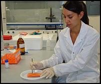 Nutrition
researcher Melanie Pauga preparing a salmon sample for
laboratory analysis.