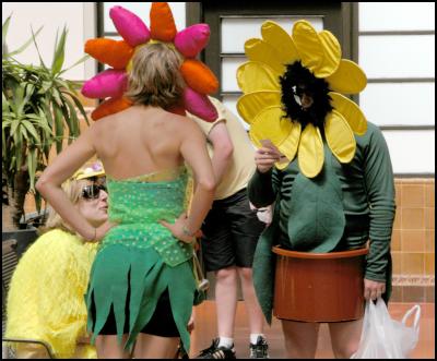 flowers, wellington
international sevens costumes