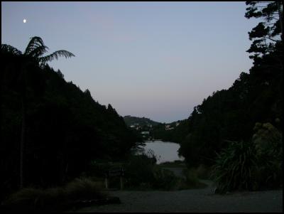 Zealandia: The
Karori Sanctuary Experience by moonlight. Photo by Judi
Lapsley-Miller