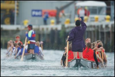 2009 NZCT
Wellington Dragon Boat Festival - Photograph by Karim Sahai
karimsahai.com