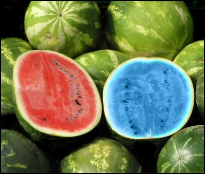 blue watermelon, green on the outside
