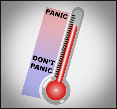swine flu panic
thermometer