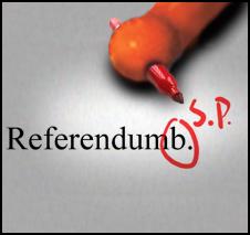 election referendum
question editing correction hand