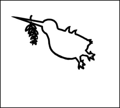 peace dove kiwi new
zealand