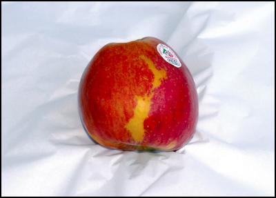  Proud to the core,
New Zealand's most patriotic apple, with map of new
zealand
