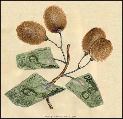 kiwifruit money