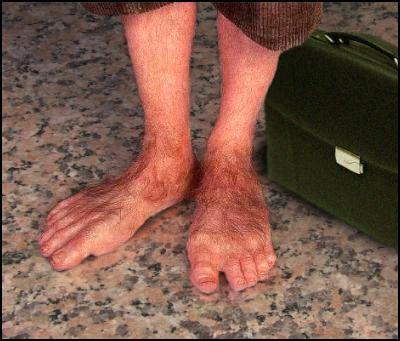 hairy hobbit feet
with a briefcase