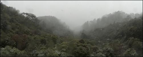 Hills and forest -
High resolution photos of Wellington snow, Karori. Pictures
by Alexander Garside.