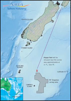 Happy Feet will be
released near the Tangaroa survey area approximately at 51
0S, 169.4 0E