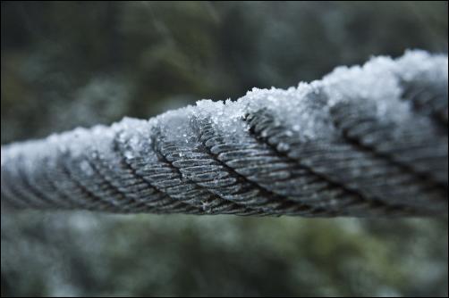 Fence wire - High
resolution photos of Wellington snow, Karori. Pictures by
Alexander Garside.