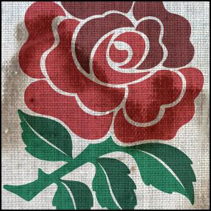 England, rose, rugby, world cup, wet