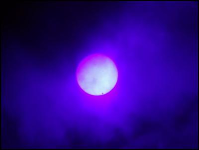 Bren Harrison:
Here's a shot I just took of Venus transiting the Sun from
my deck in Waterview.