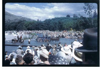 Arrowtown
Re-enactment 1962 - Crowds watch the Gold Rush take
place