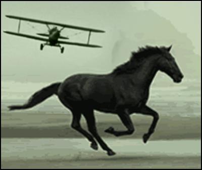 new zealand national bank, horse, north by northwest, airplane attack