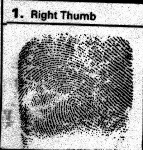Robin Bain
fingerprint 