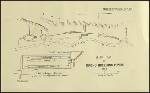 Hatchery Site Plan
circa 1880