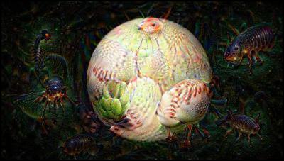 new horizons,
pluto, deepdream, inception5a/output, bugs, fish, snakes,
hops