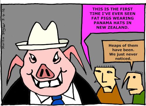 This is the first
time I've ever seen fat pigs wearing panama hats in
NZ…