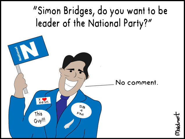 Simon Bridges - Do
you want to be leader of the National Party? / Simon (in
full campaign mode): No
Comment