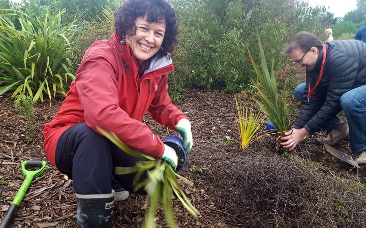 PSA members Bron
and Aaron plant trees while on strike. Photo: RNZ/Tracy
Neal. 