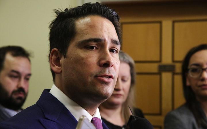 National party
leader Simon Bridges says the seven-month period expected
for the investigation is appropriate. Photo: RNZ / Richard
Tindiller 