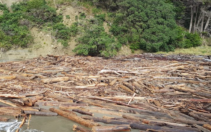 Slash debris after
flooding in Tolaga Bay. Photo: RNZ / Emma Hatton