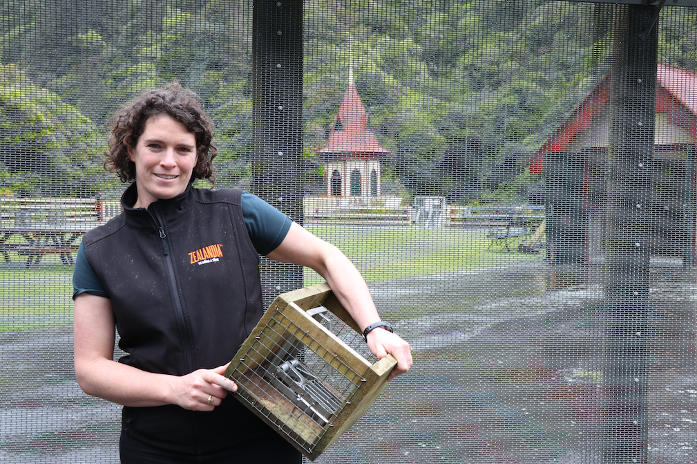 Dr Danielle Shanahan, Manager Conservation and Research with a trap box similar to the one that caught a weasel in ZEALANDIA. Photo Credit: ZEALANDIA