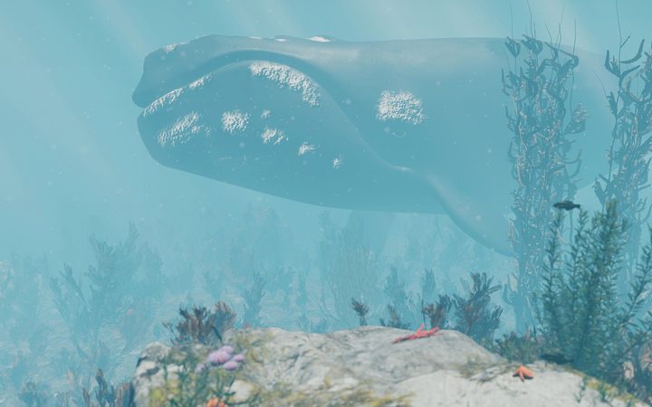 underwater, with a
whale