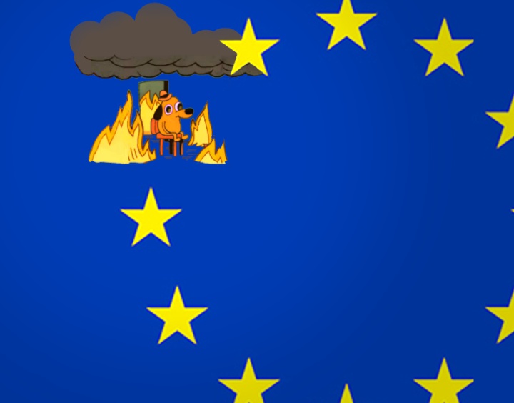 the EU flag but one
of the starrs replaced by the dog that says 'this is fine'
while everything is on fire