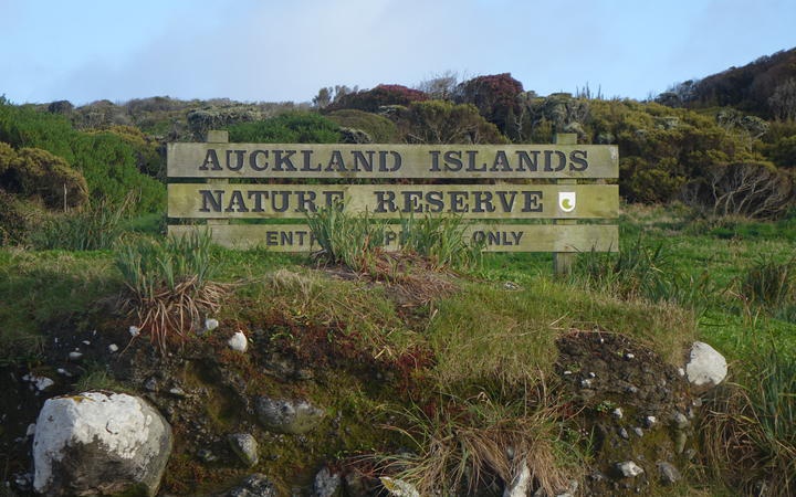 A sign for the
Auckland Island Nature Reserve, at the top of a bank in low
vegetation