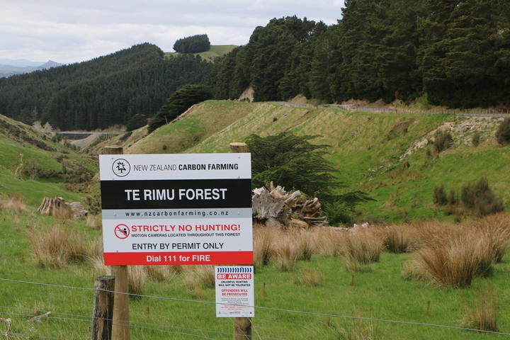 Sign for Te Rimu
forest with grassed gully and pine forest behind