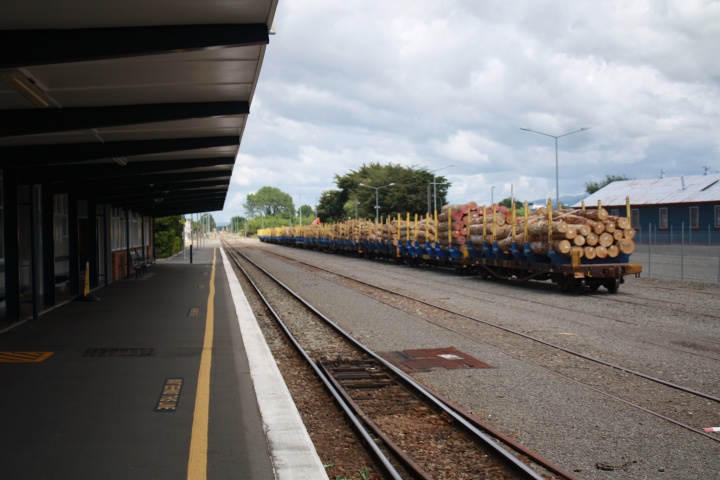 logs on a train at
Masterton station