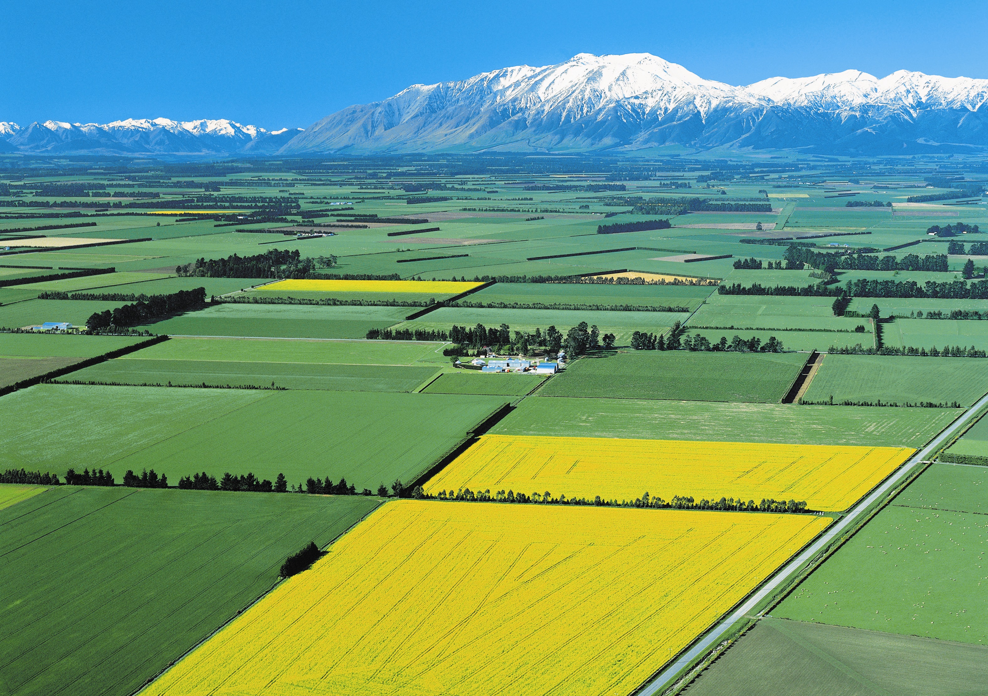 Самые сельскохозяйственные страны. Сельскохозяйство в новой Зеландии. Новая Зеландия сельское хозяйство. Новая Зеландия равнины. Новая Зеландия агрокультура.